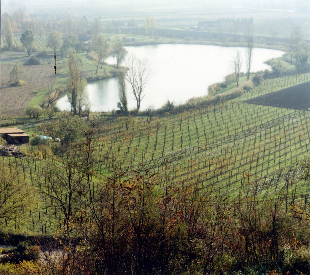 Alla scoperta del sito palafitticolo del Laghetto della Costa ad Arquà Petrarca (Pd)